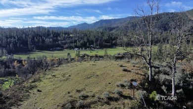 480 Oak Ranch Dr, Lewiston, CA 96052 - photo 7