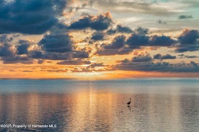 3208 Gulf Winds Cir, Hernando Beach, FL 34607 - photo 3