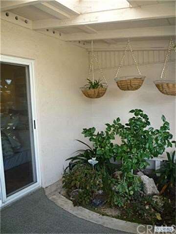 Planter on Patio w/ Slider to Master Bedroom and S