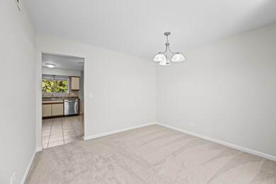 491 Leslie Ct unit 201, Des Plaines, IL 60016 - photo 5