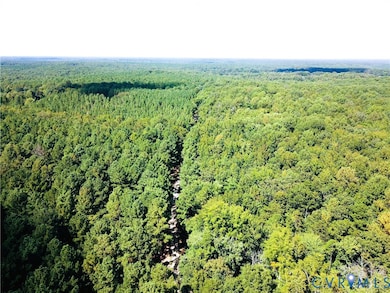 4460 Three Square Rd, Goochland, VA 23063 - photo 2