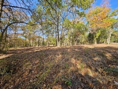 1503 S French Ave, Denison, TX 75020 - photo 3