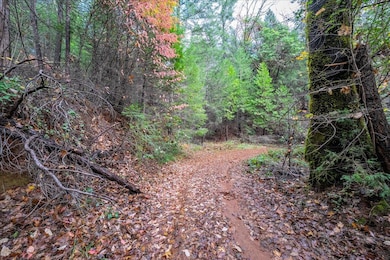 0 Kentucky Flat Rd unit 225140786, Georgetown, CA 95634 - photo 2