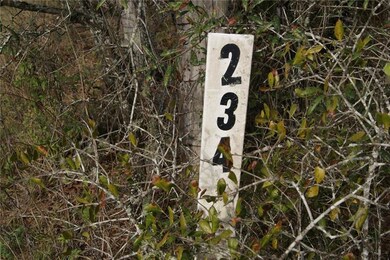LOT 234 IN BLUE JORDAN FOREST