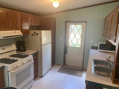 8701 N Ferris Ave, Bitely, MI 49309 - photo 5