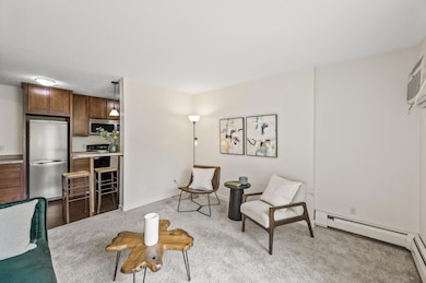 3729 Snelling Ave unit 108, Minneapolis, MN 55406 - photo 7