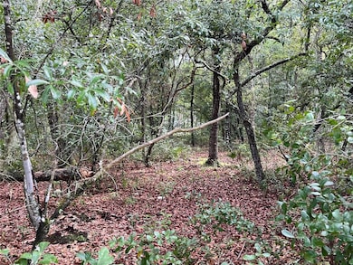 TBD Rintz St, Interlachen, FL 32148 - photo 2