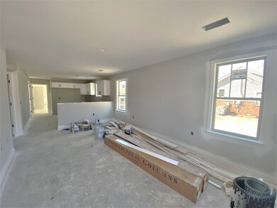 596 Cainsville Rd, Lebanon, TN 37087 - photo 2