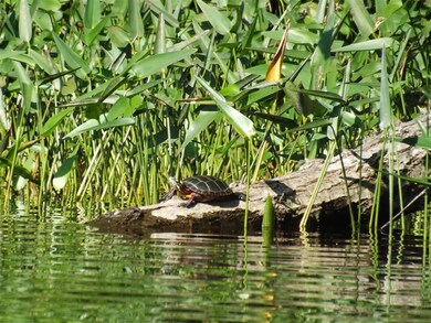 00 E S Quaker St, Henniker, NH 03242 - photo 3