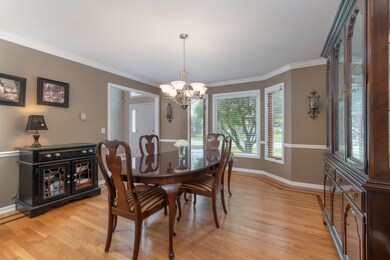 3716 Lawrence Dr, Naperville, IL 60564 - photo 6