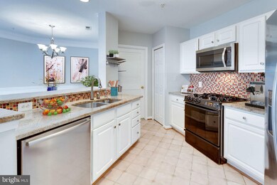 12461 Hayes Ct unit 101, Fairfax, VA 22033 - photo 5