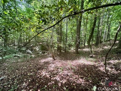 0 Roosevelt Cir unit 1017485, Bowman, GA 30635 - photo 5