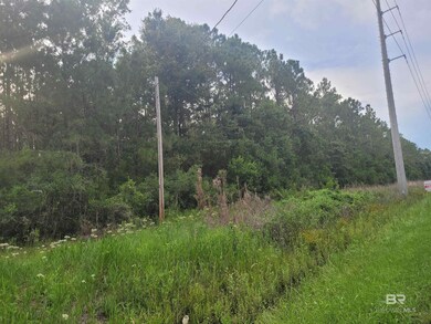 0 Bellingrath Rd unit 374430, Theodore, AL 36582 - photo 4