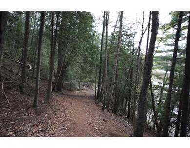 Other. Trail to shoreline.