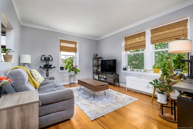 Large living room with abundant natural light
