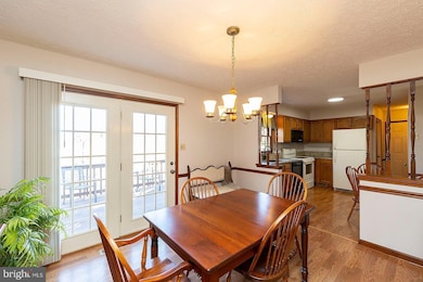 238 Glenridge Dr, Winchester, VA 22602 - photo 7