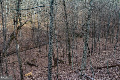 15 Ridges at Branch S, Romney, WV 26757 - photo 2