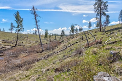 0 Box Canyon Rd unit NWM2402336, Goldendale, WA 98620 - photo 7