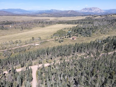 0 Petito Dr unit 25748588, Fort Garland, CO 81133 - photo 4