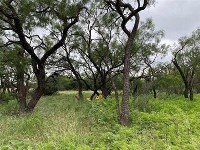 TBD Iberis Rd, Abilene, TX 79606 - photo 2