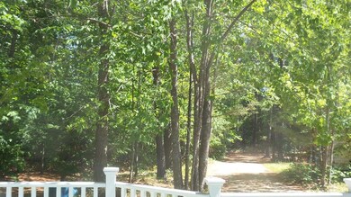 View from deck of driveway/woods