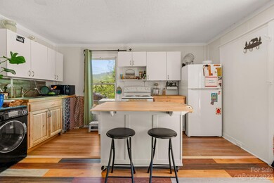 46 Old Bee Tree Rd, Swannanoa, NC 28778 - photo 5