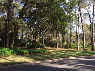 326 Carnoustie, St. Simons Island, GA 31522 - photo 4