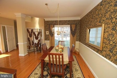 25606 Creek Run Terrace, Chantilly, VA 20152 - photo 7