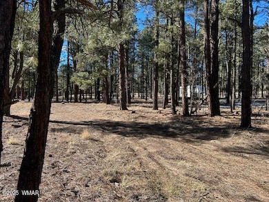 0 Cr N2121, Alpine, AZ 85920 - photo 2