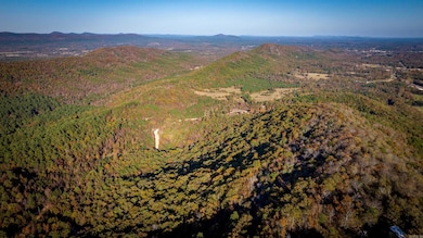 CR185 Camilla Springs, Glenwood, AR 71943 - photo 6