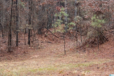 73 acres County Road 93, Bankston, AL 35542 - photo 7