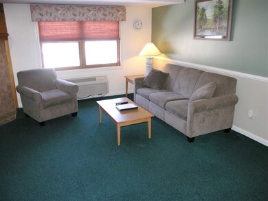 164 Deer Park Dr unit 177C, Woodstock, NH 03262 - photo 2
