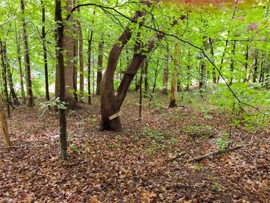 428 Westchester Rd, Statesville, NC 28625 - photo 5