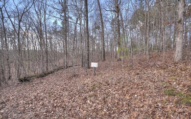 Additional View