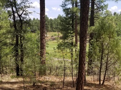 3950 Shaggy Bark Road