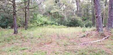 125 Springhill Rd, Laurel, MS 39443 - photo 5