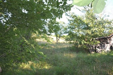 2051 Bruners Chapel Rd, Harrodsburg, KY 40330 - photo 6