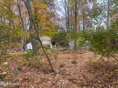 23 Kuzyk Rd, Plumsted, NJ 08514 - photo 4