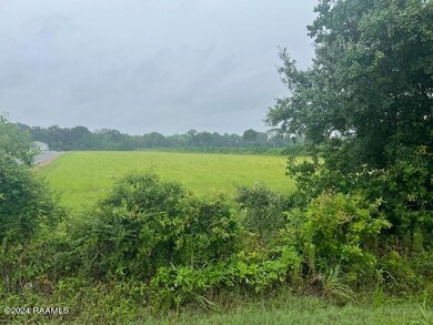 IMG_8171
