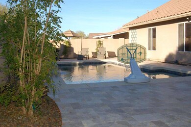 Fernwood Court Backyard 1