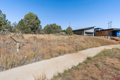 75 Salt Brush St, Durango, CO 81301 - photo 6