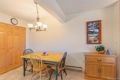 170 Tall Pine Cir unit 12D, Grand Lake, CO 80447 - photo 7