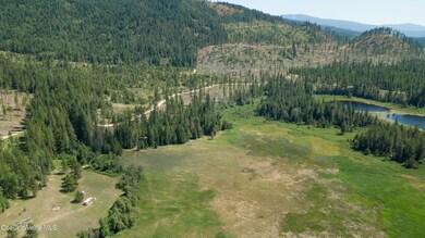 Meadow