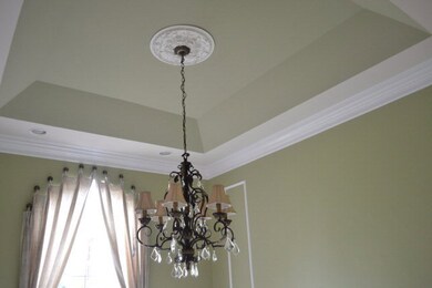 Trey ceiling in DR