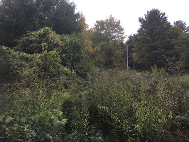 unlisted-address, Great Barrington, MA 01230 - photo 3