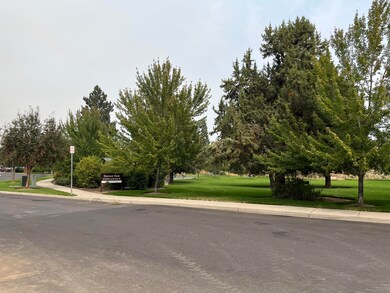 View from driveway