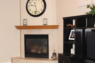 Fireplace in Family Rm