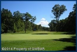 16 Palmer Court Dr, Drums, PA 18222 - photo 4