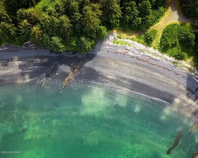 L1 Black Rock-Cliff Point Estates, Kodiak, AK 99615 - photo 3