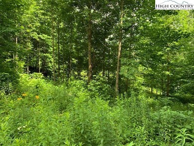 Lot 3 Casey's Gap Rd, Banner Elk, NC 28604 - photo 5